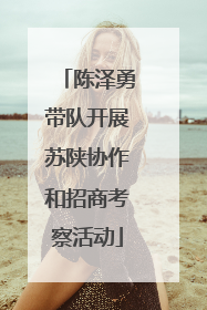 陈泽勇带队开展苏陕协作和招商考察活动