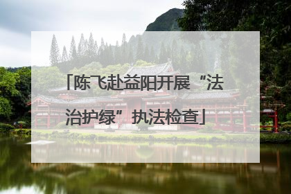陈飞赴益阳开展“法治护绿”执法检查