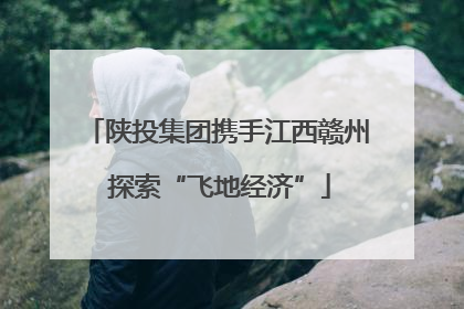 陕投集团携手江西赣州 探索“飞地经济”