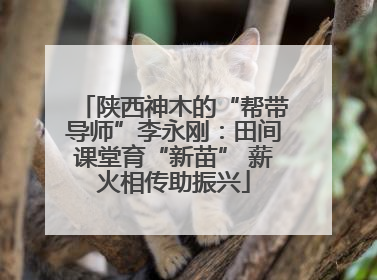 陕西神木的“帮带导师”李永刚：田间课堂育“新苗” 薪火相传助振兴