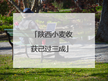 陕西小麦收获已过三成