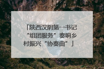 陕西汉阴第一书记“组团服务”奏响乡村振兴“协奏曲”