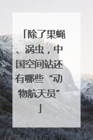 除了果蝇、涡虫，中国空间站还有哪些“动物航天员”