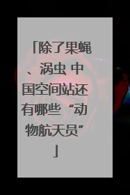 除了果蝇、涡虫 中国空间站还有哪些“动物航天员”