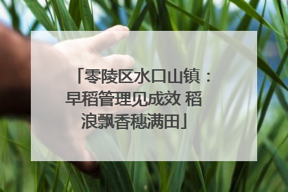 零陵区水口山镇：早稻管理见成效 稻浪飘香穗满田