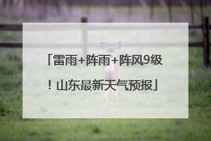 雷雨+阵雨+阵风9级！山东最新天气预报