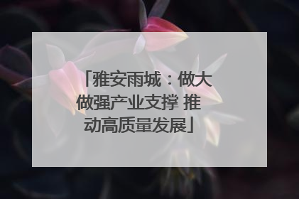 雅安雨城：做大做强产业支撑 推动高质量发展