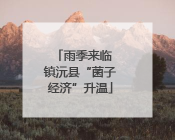 雨季来临 镇沅县“菌子经济”升温