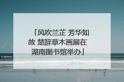 风吹兰芷 芳华如故 楚辞草木画展在湖南图书馆举办