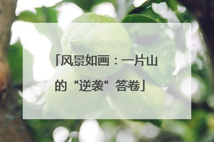 风景如画：一片山的“逆袭”答卷