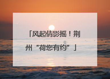 风起倩影摇！荆州“荷您有约”