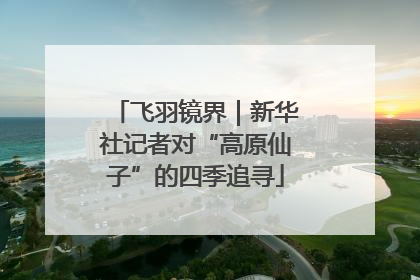 飞羽镜界｜新华社记者对“高原仙子”的四季追寻