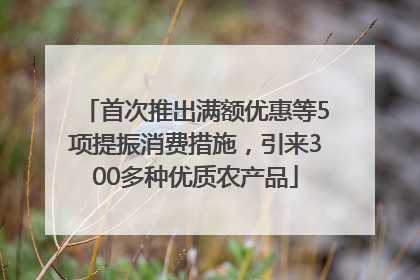 首次推出满额优惠等5项提振消费措施，引来300多种优质农产品