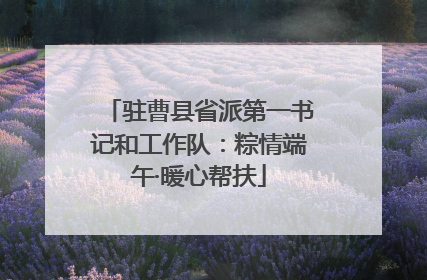 驻曹县省派第一书记和工作队：粽情端午·暖心帮扶