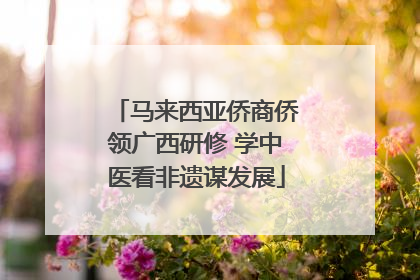 马来西亚侨商侨领广西研修 学中医看非遗谋发展