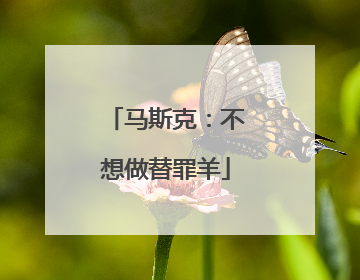 马斯克：不想做替罪羊