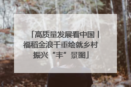 高质量发展看中国丨福稻金浪千重绘就乡村振兴“丰”景图