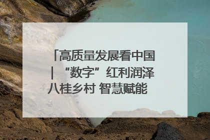 高质量发展看中国｜“数字”红利润泽八桂乡村 智慧赋能绘就振兴画卷