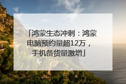 鸿蒙生态冲刺：鸿蒙电脑预约量超12万，手机备货量激增