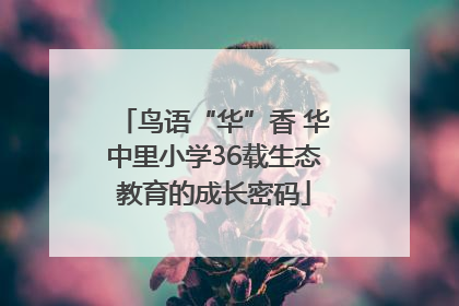 鸟语“华”香 华中里小学36载生态教育的成长密码