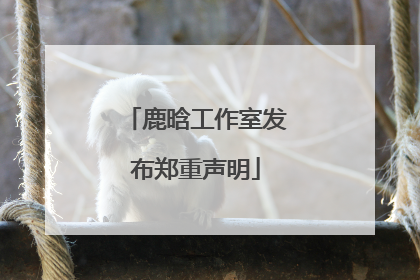 鹿晗工作室发布郑重声明