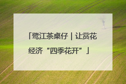 鹭江茶桌仔｜让赏花经济“四季花开”