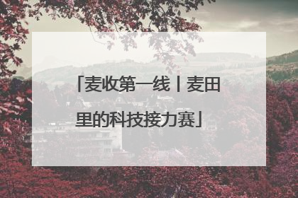 麦收第一线丨麦田里的科技接力赛