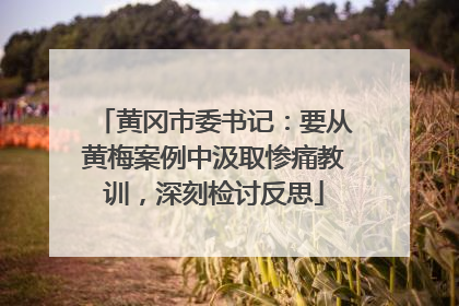 黄冈市委书记：要从黄梅案例中汲取惨痛教训，深刻检讨反思