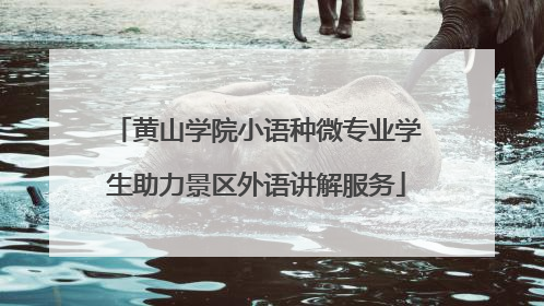 黄山学院小语种微专业学生助力景区外语讲解服务