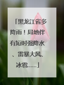 黑龙江省多降雨！局地伴有短时强降水、雷暴大风、冰雹……