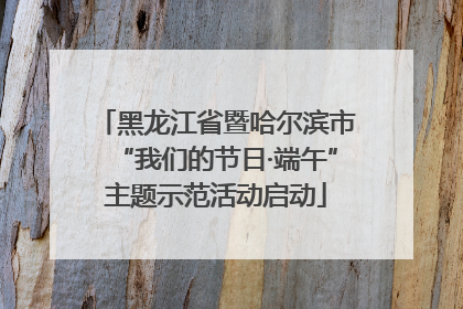 黑龙江省暨哈尔滨市“我们的节日·端午”主题示范活动启动