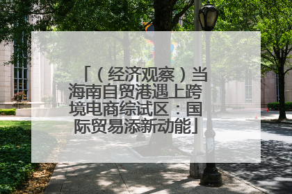 （经济观察）当海南自贸港遇上跨境电商综试区：国际贸易添新动能