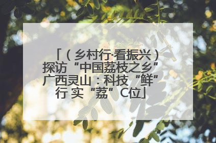 （乡村行·看振兴）探访“中国荔枝之乡”广西灵山：科技“鲜”行 实“荔”C位
