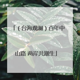（台海观澜）百年中山路 两岸共潮生
