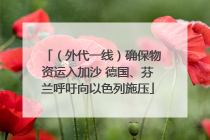 （外代一线）确保物资运入加沙 德国、芬兰呼吁向以色列施压