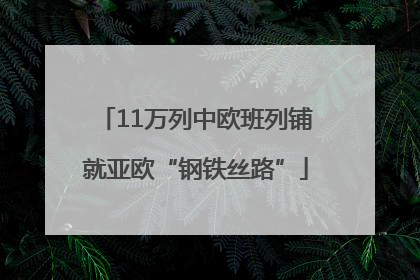 11万列中欧班列铺就亚欧“钢铁丝路”