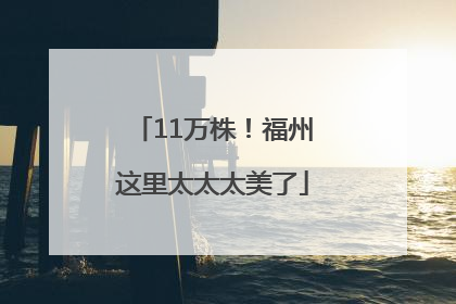 11万株！福州这里太太太美了