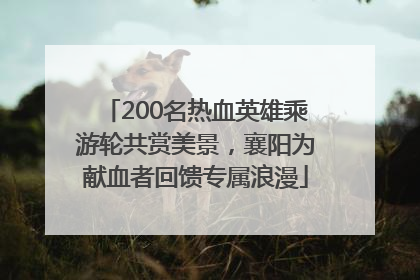200名热血英雄乘游轮共赏美景，襄阳为献血者回馈专属浪漫