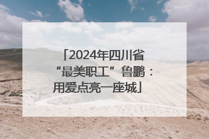 2024年四川省“最美职工”鲁鹏：用爱点亮一座城