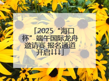 2025“海口杯”端午国际龙舟邀请赛 报名通道开启↓↓↓