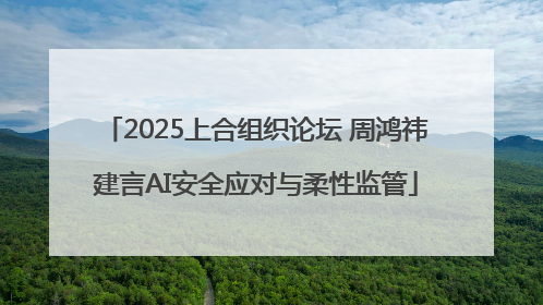 2025上合组织论坛 周鸿祎建言AI安全应对与柔性监管