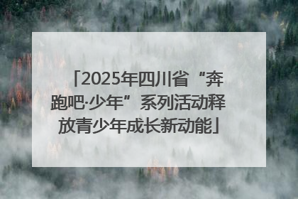 2025年四川省“奔跑吧·少年”系列活动释放青少年成长新动能