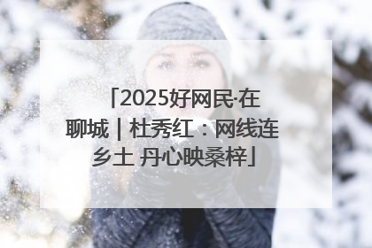 2025好网民·在聊城｜杜秀红：网线连乡土 丹心映桑梓