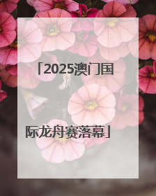 2025澳门国际龙舟赛落幕