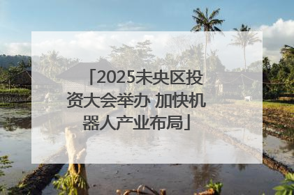 2025未央区投资大会举办 加快机器人产业布局