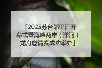 2025苏台邻里汇开幕式暨海峡两岸（洋河）龙舟邀请赛成功举办