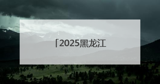 2025黑龙江“村BA”吉祥物“隆隆”亮相
