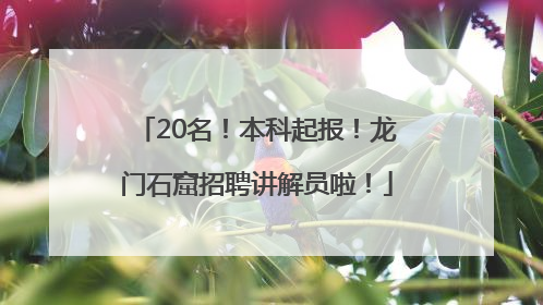 20名！本科起报！龙门石窟招聘讲解员啦！