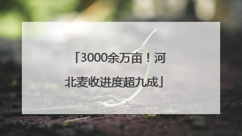 3000余万亩！河北麦收进度超九成