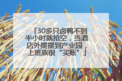 30多只卤鸭不到半小时就抢空，当酒店外摆摆到产业园，上班族很“买账”